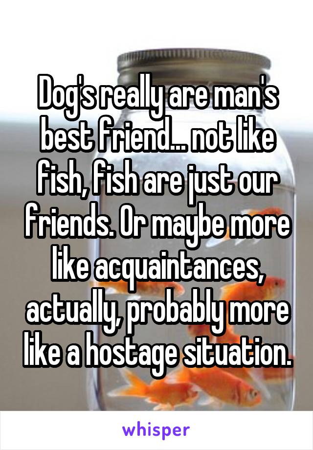 Dog's really are man's best friend... not like fish, fish are just our friends. Or maybe more like acquaintances, actually, probably more like a hostage situation.