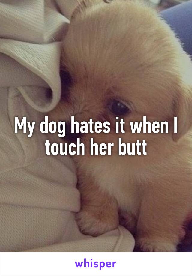 My dog hates it when I touch her butt