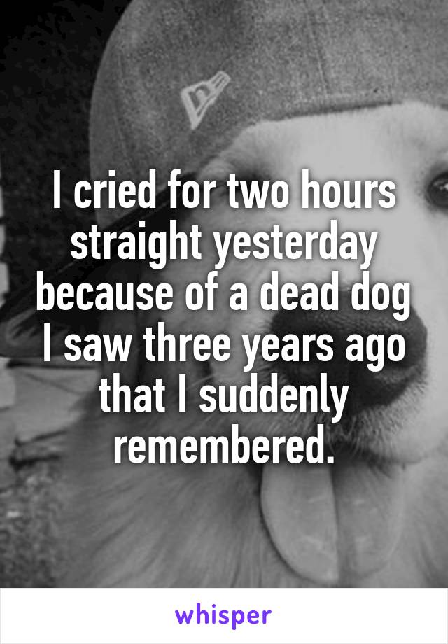 I cried for two hours straight yesterday because of a dead dog I saw three years ago that I suddenly remembered.