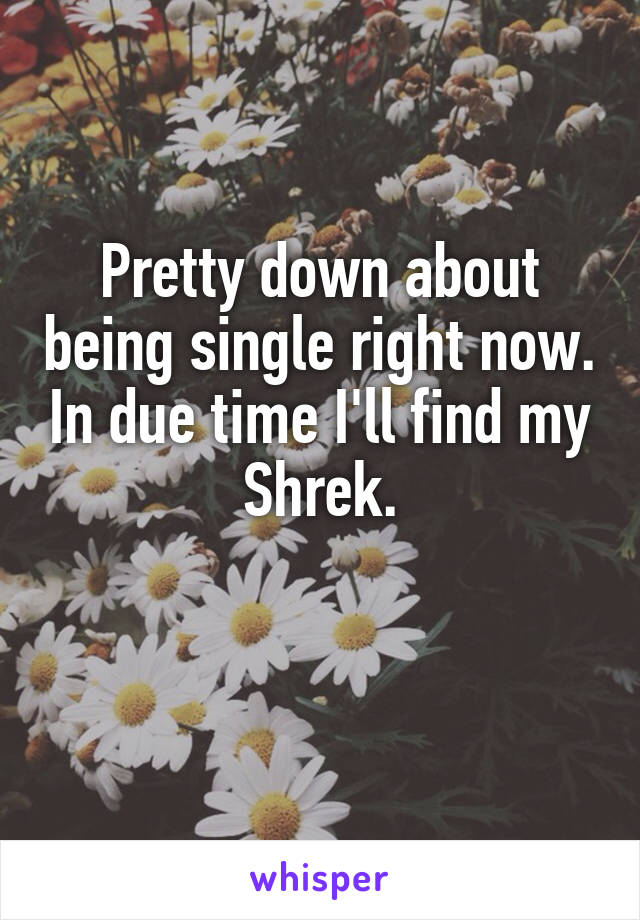 Pretty down about being single right now. In due time I'll find my Shrek.

