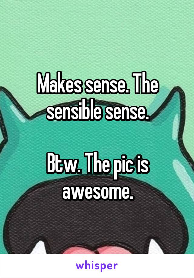 Makes sense. The sensible sense.

Btw. The pic is awesome.