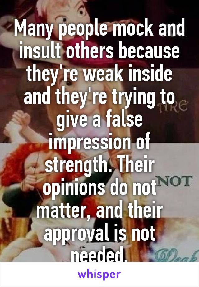 Many people mock and insult others because they're weak inside and they're trying to give a false impression of strength. Their opinions do not matter, and their approval is not needed.