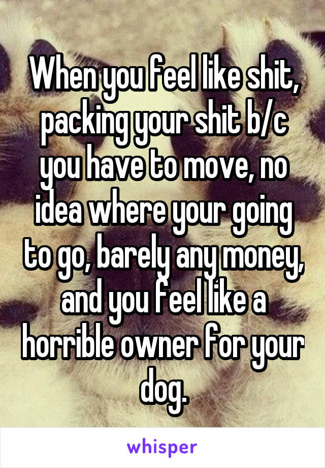 When you feel like shit, packing your shit b/c you have to move, no idea where your going to go, barely any money, and you feel like a horrible owner for your dog.