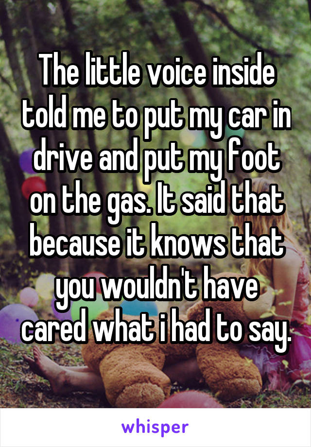 The little voice inside told me to put my car in drive and put my foot on the gas. It said that because it knows that you wouldn't have cared what i had to say.
