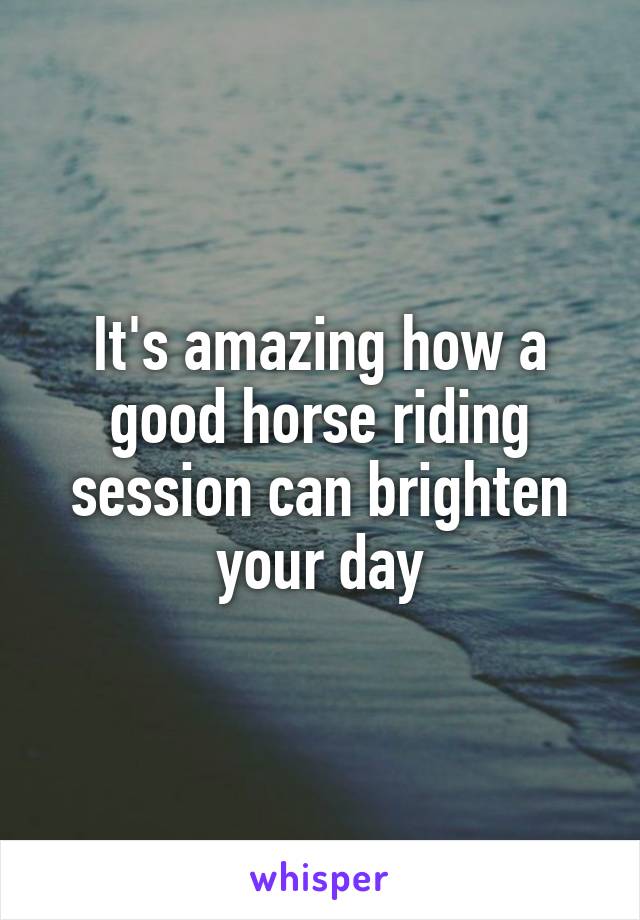 It's amazing how a good horse riding session can brighten your day