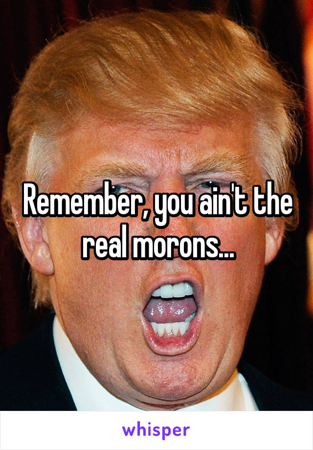 Remember, you ain't the real morons...