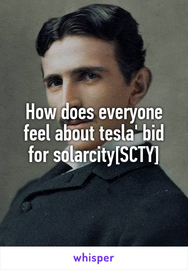 How does everyone feel about tesla' bid for solarcity[SCTY]