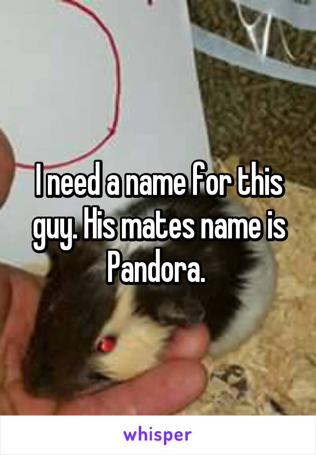 I need a name for this guy. His mates name is Pandora. 