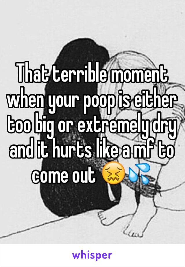 That terrible moment when your poop is either too big or extremely dry and it hurts like a mf to come out 😖💦