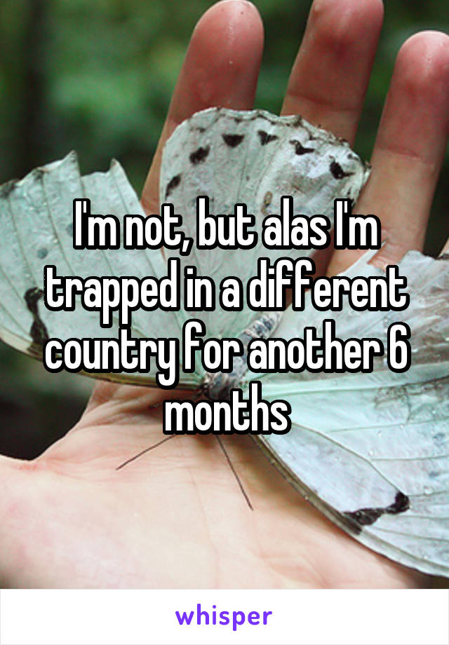 I'm not, but alas I'm trapped in a different country for another 6 months