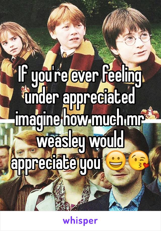 If you're ever feeling under appreciated imagine how much mr weasley would appreciate you 😀😘 