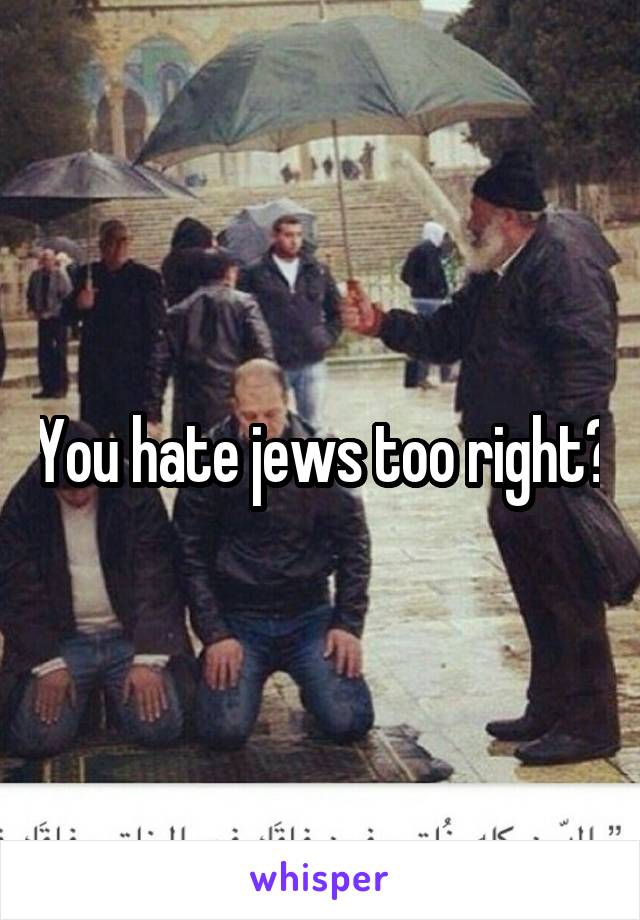 You hate jews too right?