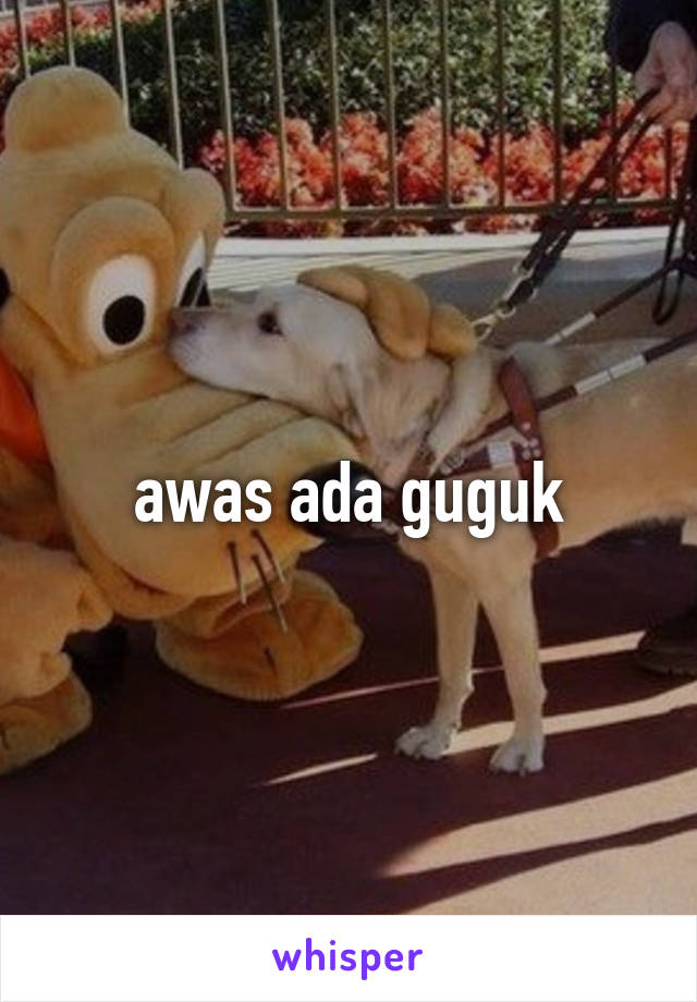 awas ada guguk