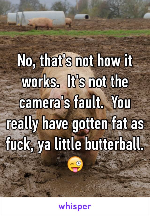 No, that's not how it works.  It's not the camera's fault.  You really have gotten fat as fuck, ya little butterball.  😜