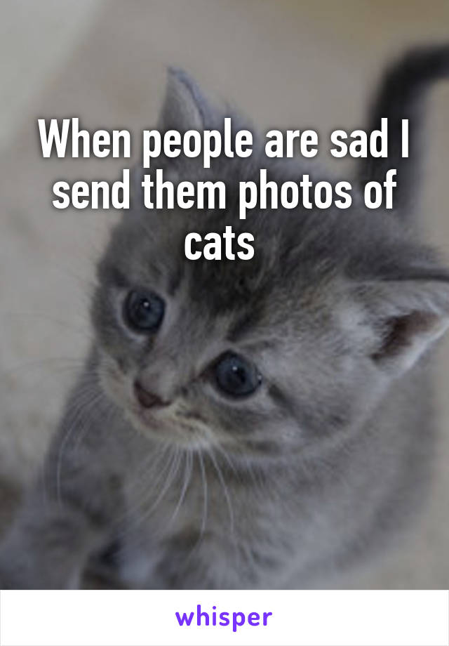 When people are sad I send them photos of cats 




