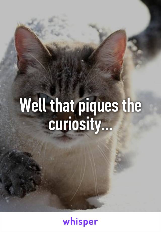 Well that piques the curiosity...