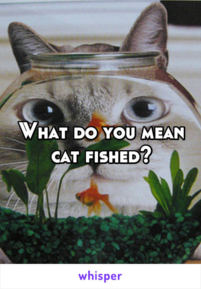 What do you mean cat fished?
