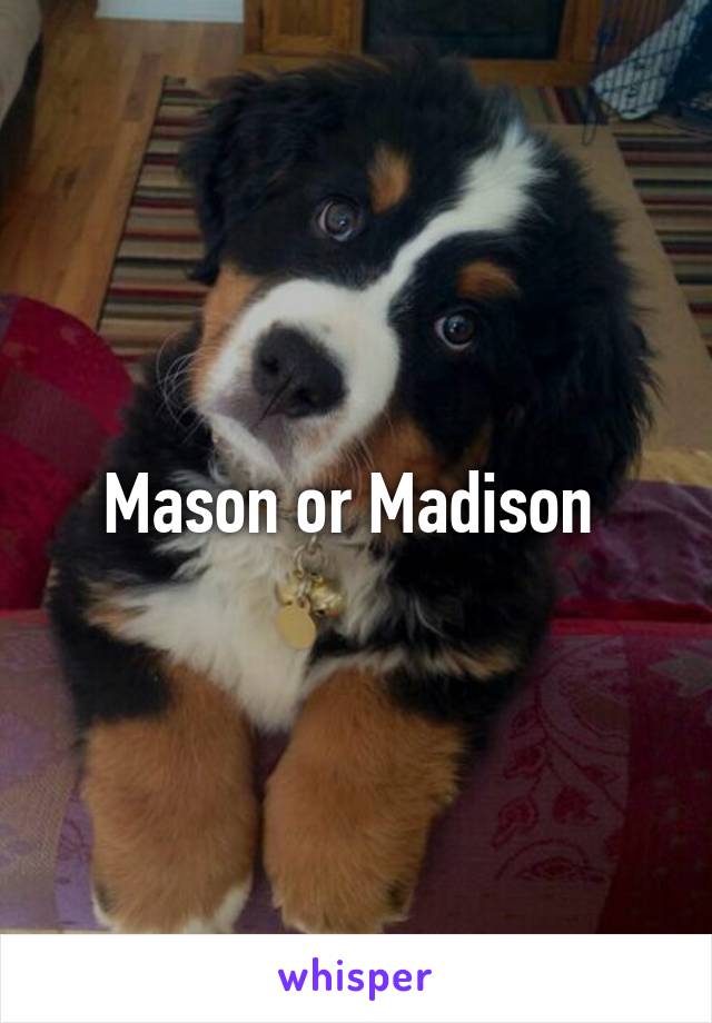 Mason or Madison 