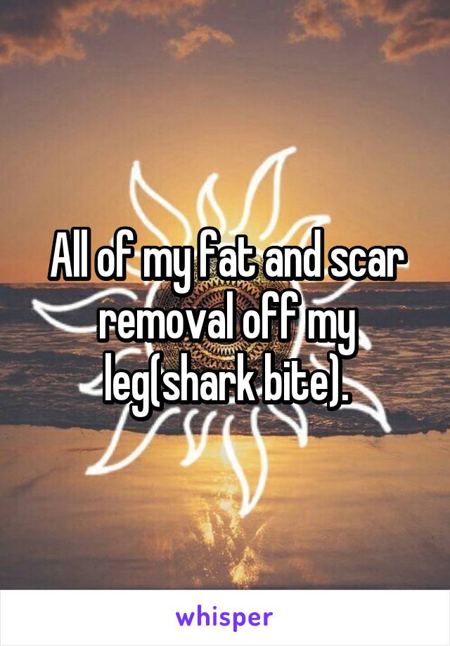 All of my fat and scar removal off my leg(shark bite).