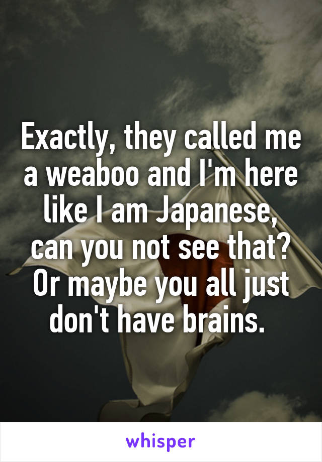 Exactly, they called me a weaboo and I'm here like I am Japanese, can you not see that? Or maybe you all just don't have brains. 