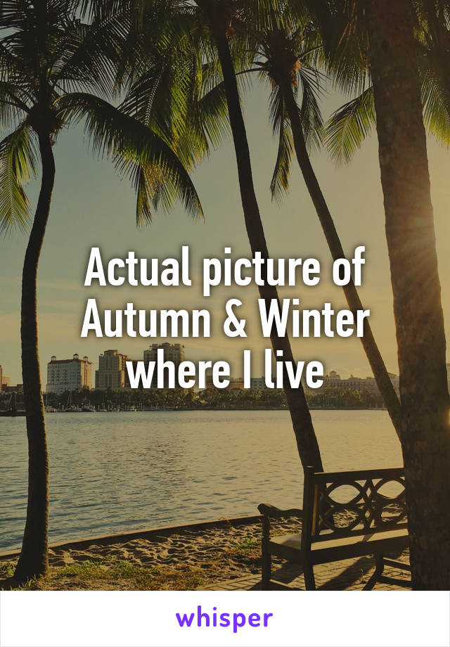 Actual picture of Autumn & Winter where I live