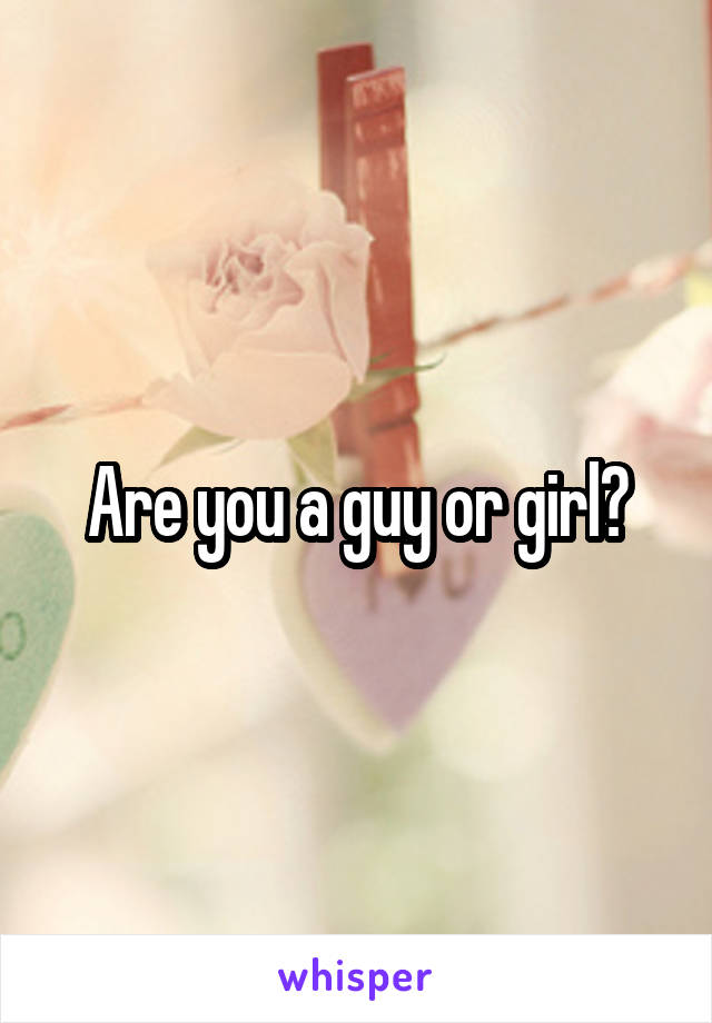 Are you a guy or girl?