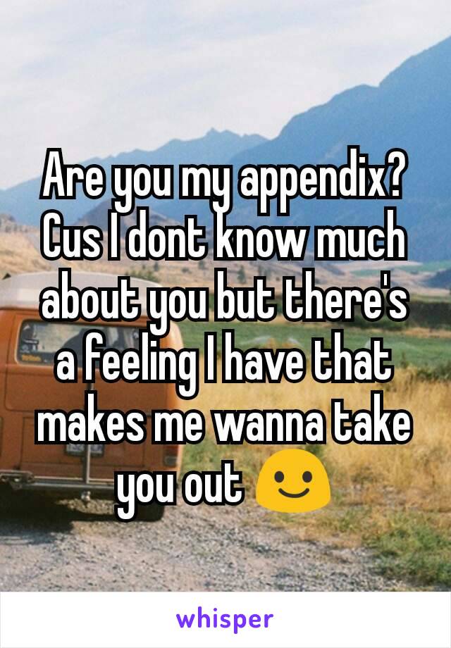 Are you my appendix? Cus I dont know much about you but there's a feeling I have that makes me wanna take you out 😃