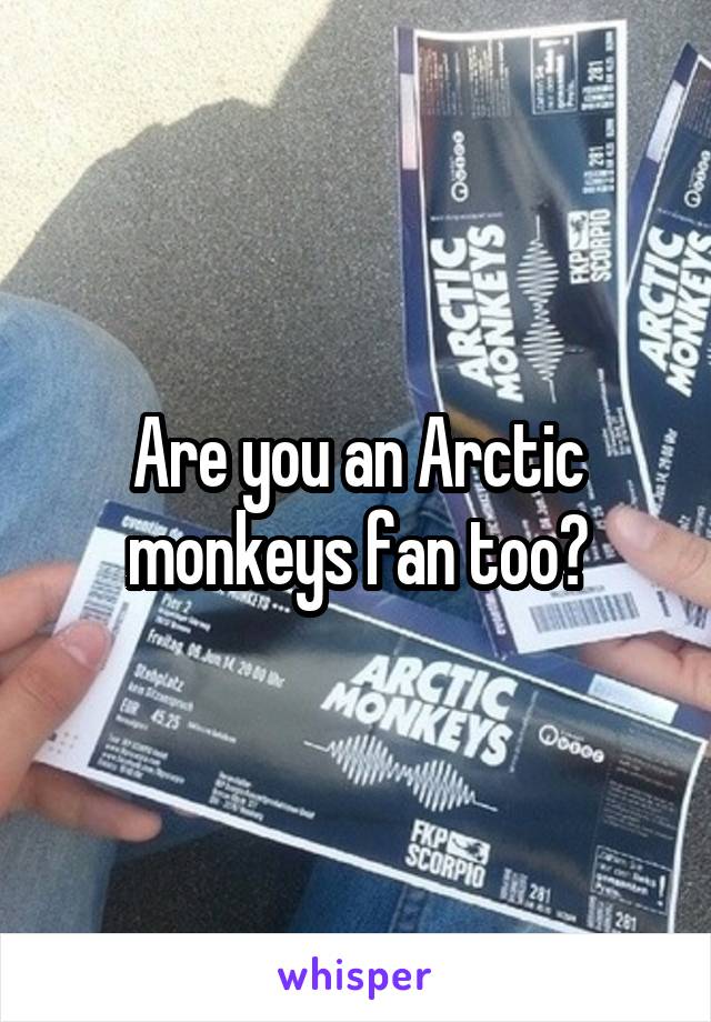 Are you an Arctic monkeys fan too?