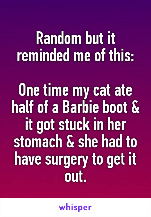 Random but it reminded me of this:

One time my cat ate half of a Barbie boot & it got stuck in her stomach & she had to have surgery to get it out.