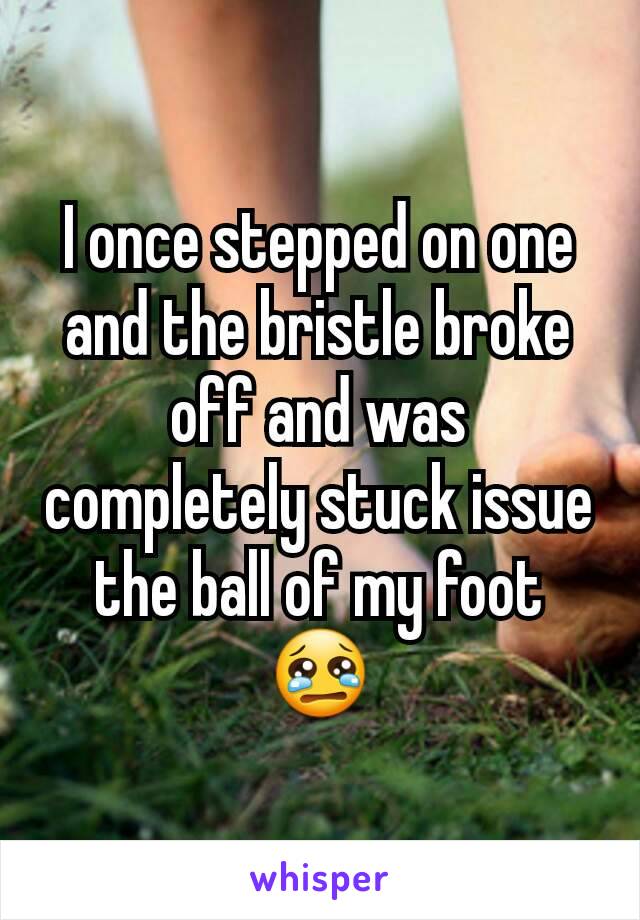 I once stepped on one and the bristle broke off and was completely stuck issue the ball of my foot 😢