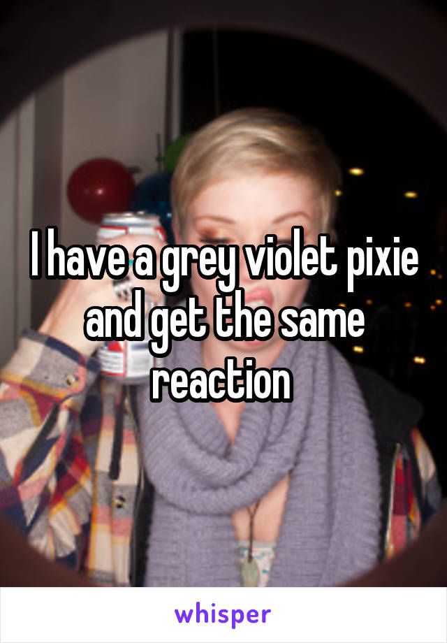 I have a grey violet pixie and get the same reaction 