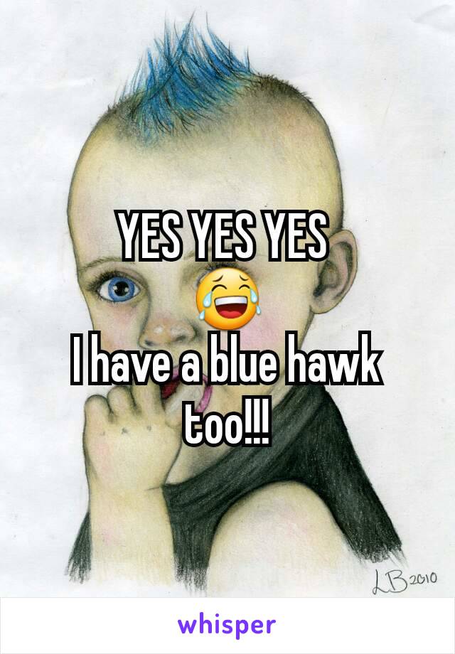 YES YES YES 
😂
I have a blue hawk too!!!