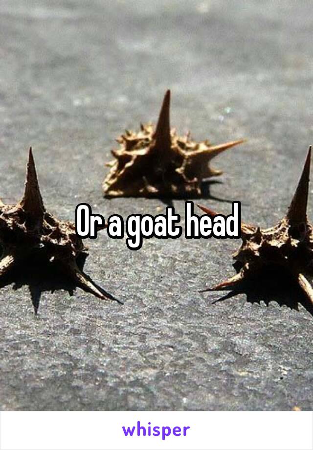 Or a goat head