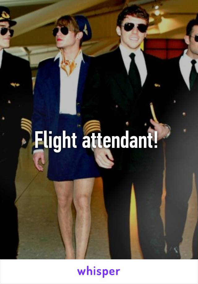 Flight attendant! 