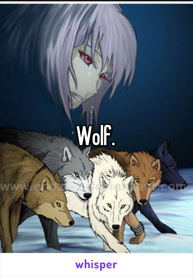 Wolf. 