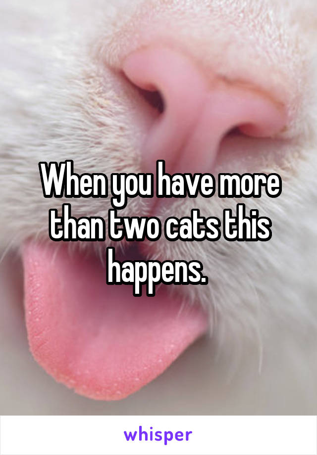 When you have more than two cats this happens. 