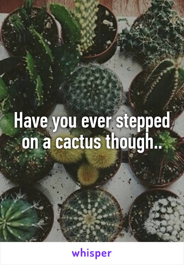 Have you ever stepped on a cactus though..