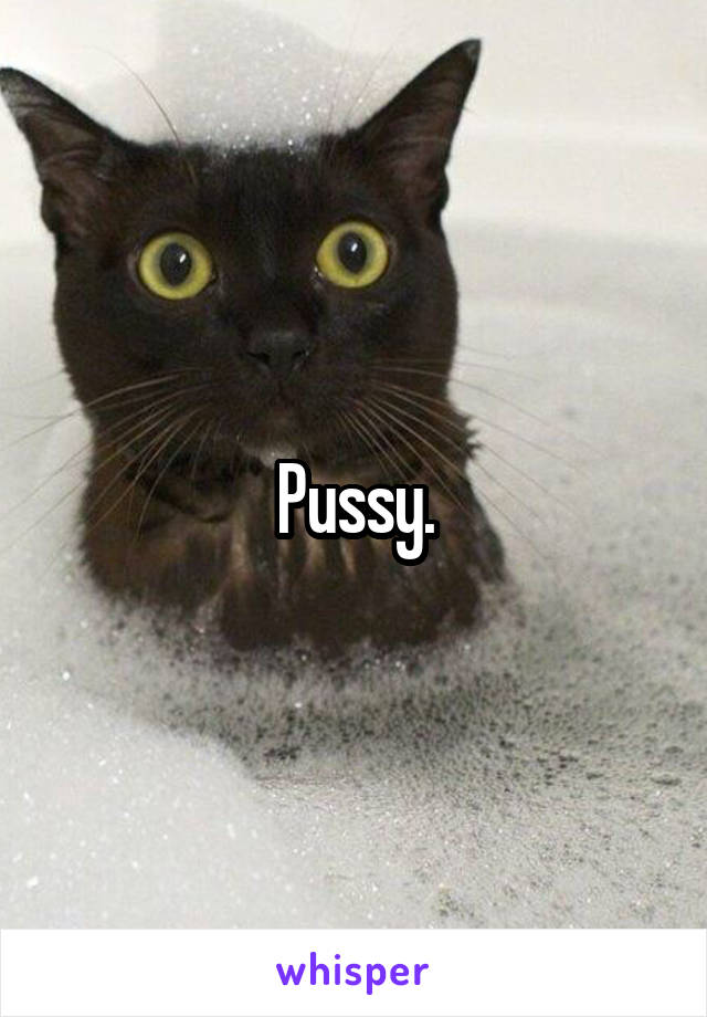 Pussy.