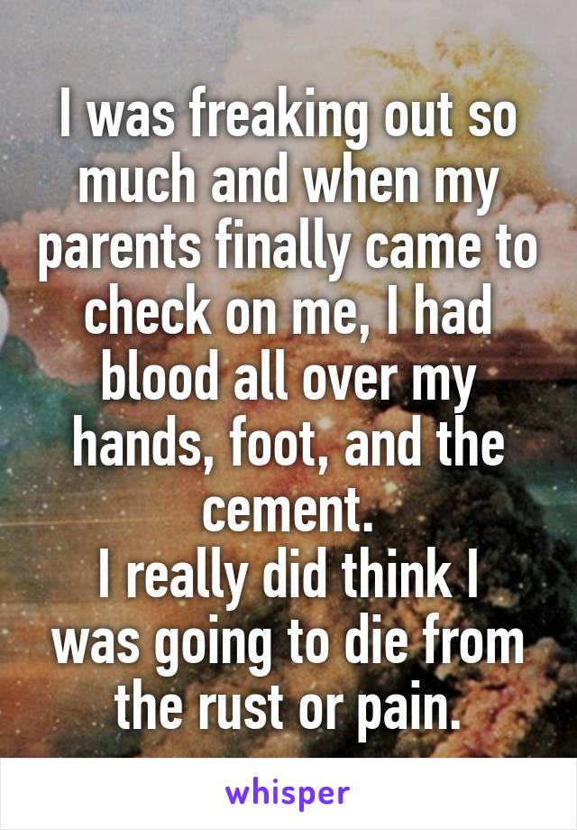 I was freaking out so much and when my parents finally came to check on me, I had blood all over my hands, foot, and the cement.
I really did think I was going to die from the rust or pain.