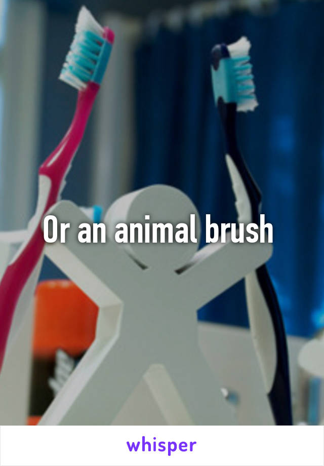 Or an animal brush 