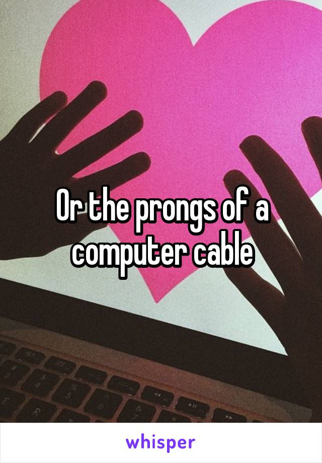 Or the prongs of a computer cable