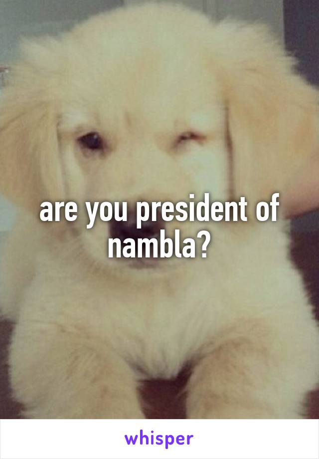 are you president of nambla?