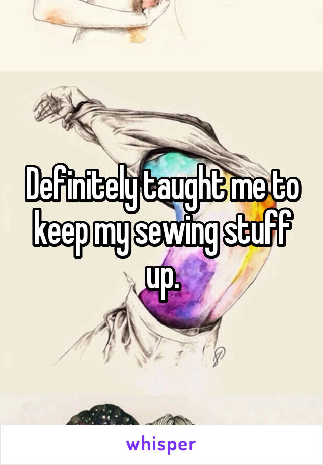 Definitely taught me to keep my sewing stuff up.