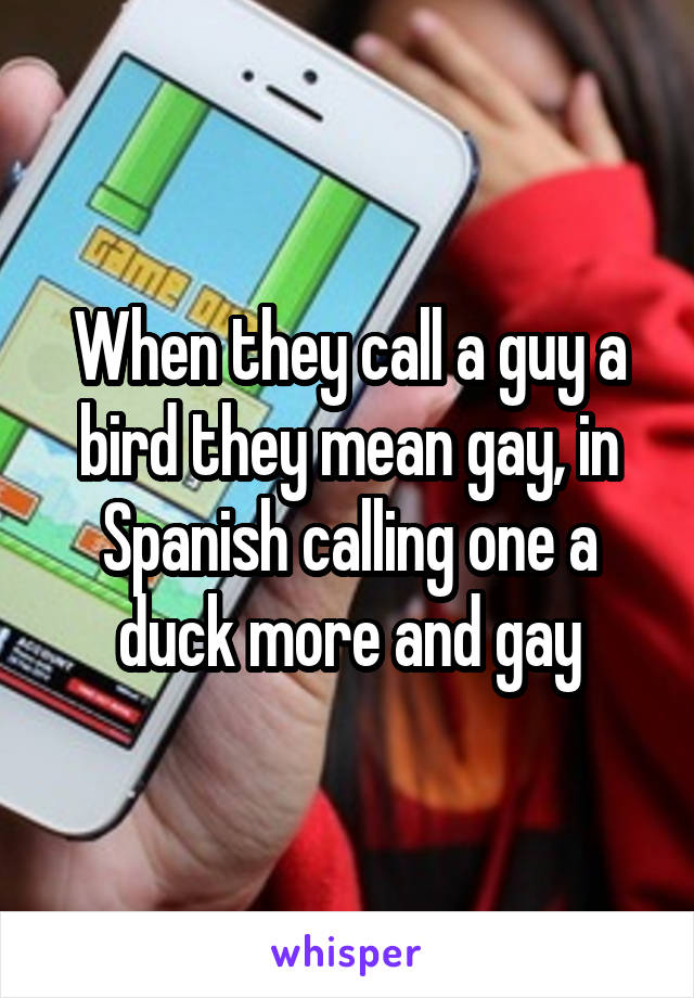 When they call a guy a bird they mean gay, in Spanish calling one a duck more and gay