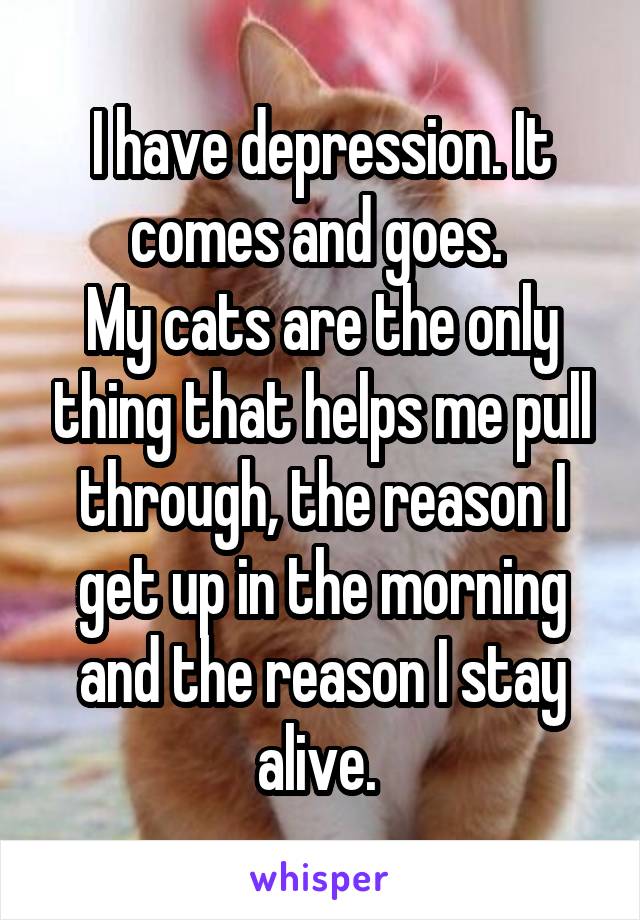 I have depression. It comes and goes. 
My cats are the only thing that helps me pull through, the reason I get up in the morning and the reason I stay alive. 