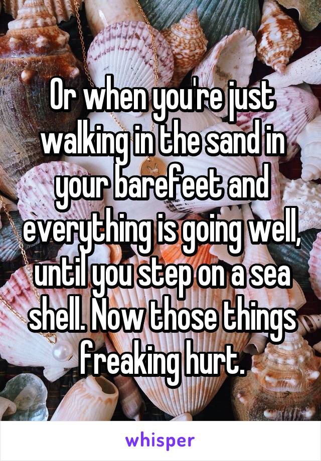 Or when you're just walking in the sand in your barefeet and everything is going well, until you step on a sea shell. Now those things freaking hurt.