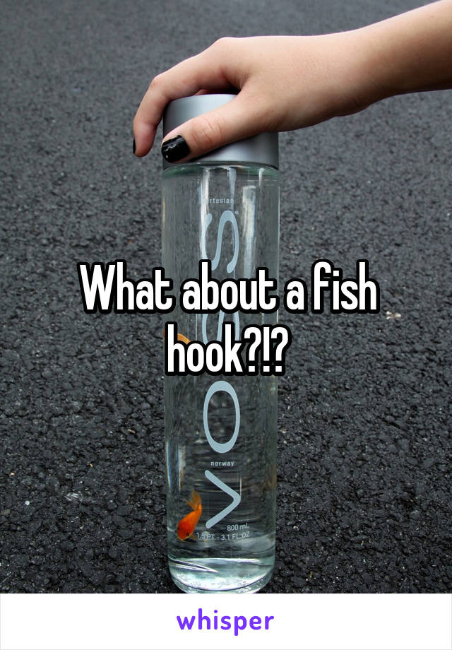 What about a fish hook?!?