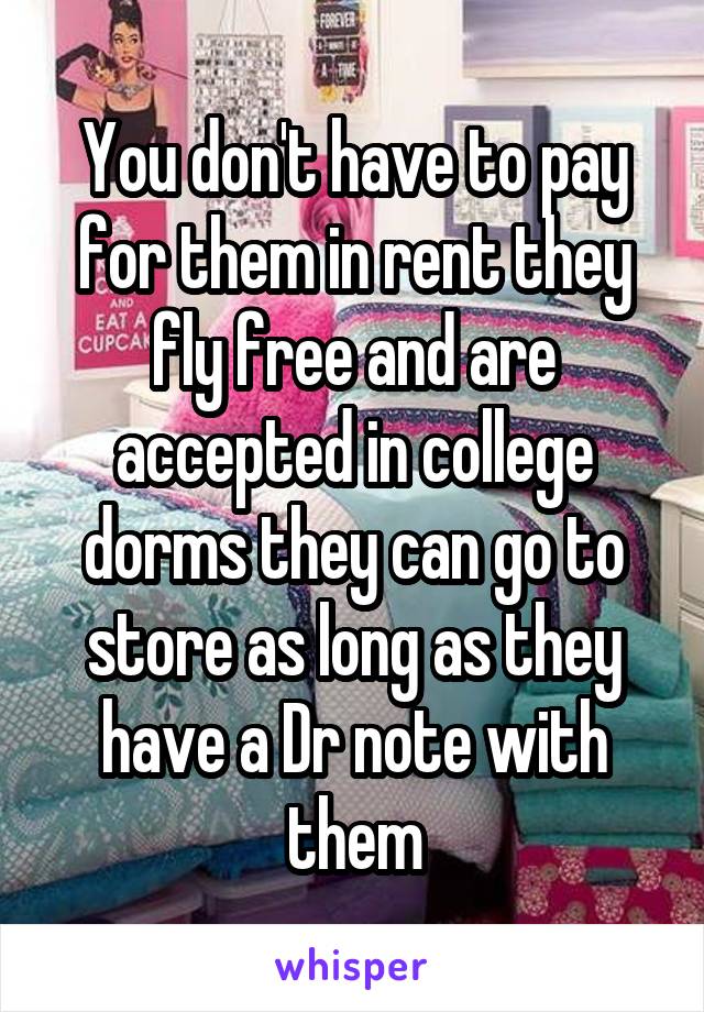 You don't have to pay for them in rent they fly free and are accepted in college dorms they can go to store as long as they have a Dr note with them