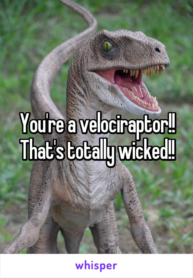 You're a velociraptor!! That's totally wicked!!