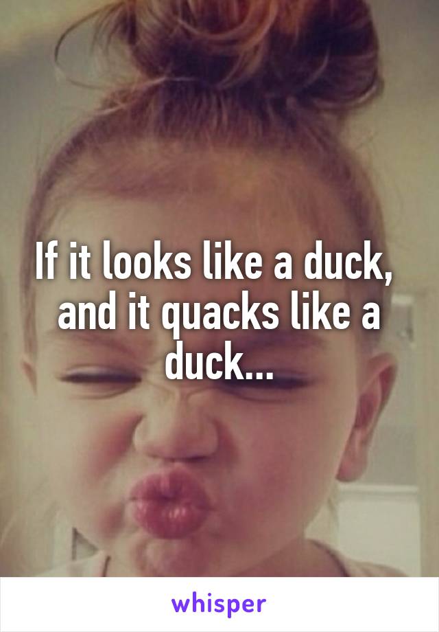 If it looks like a duck, 
and it quacks like a duck...